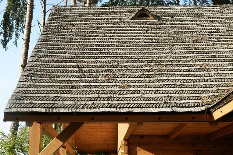 budowa domów z bali